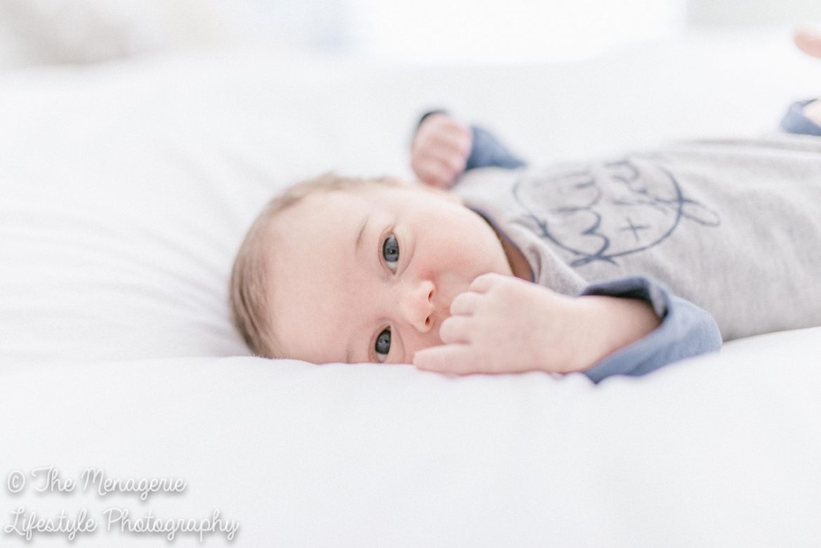 Blog of lifestyle Photography, Blog, The Menagerie Lifestyle Photography